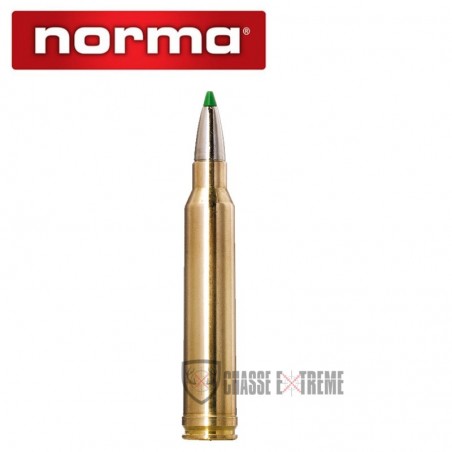 20-munitions-norma-cal-300-wm-165gr-ecostrike