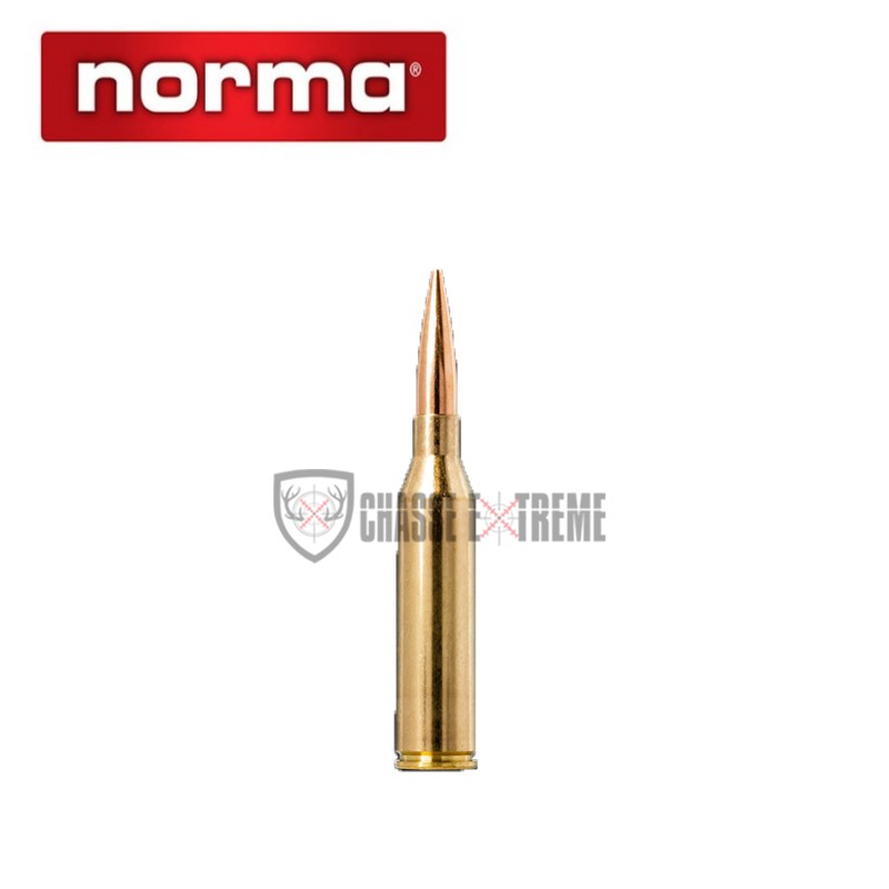 20-munitions-norma-cal-300-norma-mag-230gr-vld