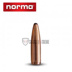 20-munitions-norma-calibre-340-weath-mag-230gr-oryx-