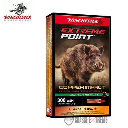20-munitions-winchester-extreme-point-lead-free-180gr-cal-300-wsm
