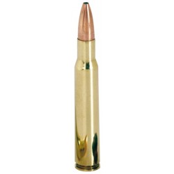 20 Munitions WINCHESTER cal 30-30 Win 150gr Power Max Bonded