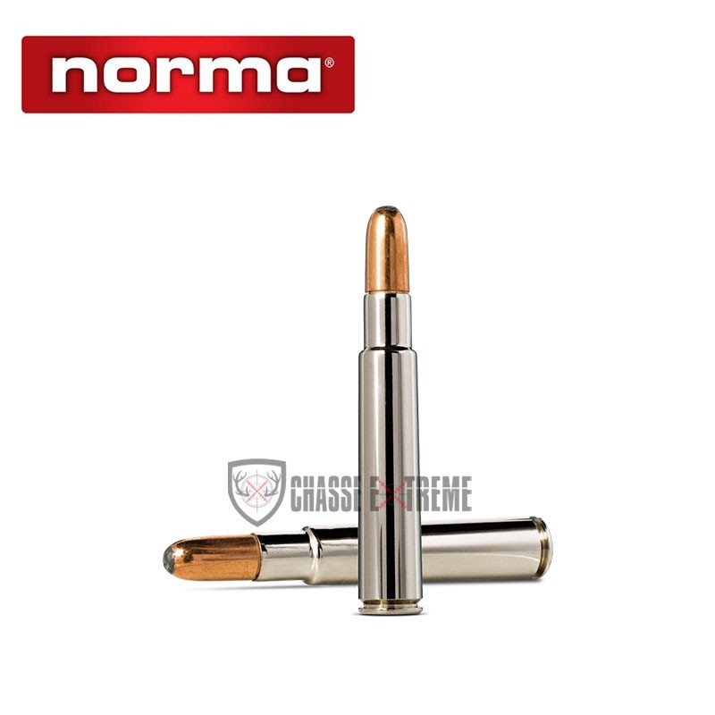 10-munitions-norma-african-ph-cal-416-rigby-450gr-blinde