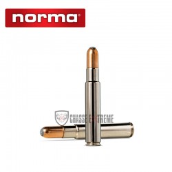 10-munitions-norma-african-ph-cal-450-rigby-rimless-550gr-blinde
