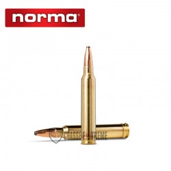20-munitions-norma-cal-300-weath-mag-180gr-oryx