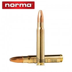 20-munitions-norma-cal-93x62-325gr-oryx